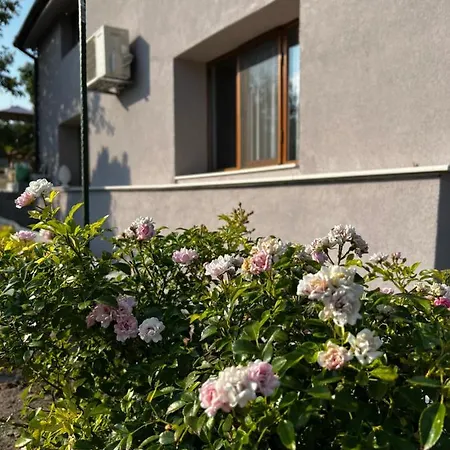 Apartment In Villa 